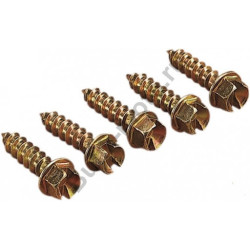 Шипы SCREWS GOLD 1/2" (1000шт)