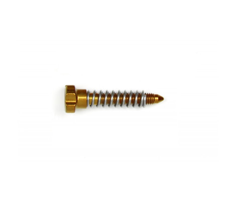 Винт холостого хода S3 для карбюратора KEIHIN (IDLE ONLY+SPRING) (Gold) Винт холостого хода S3 для карбюратора KEIHIN (IDLE ONLY+SPRING) (Gold)