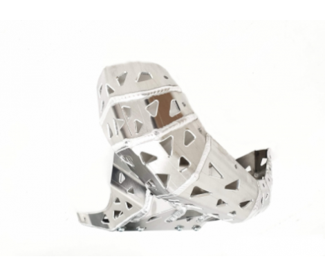 Защита двигателя и резонатора P-TECH Beta RR 200 2019