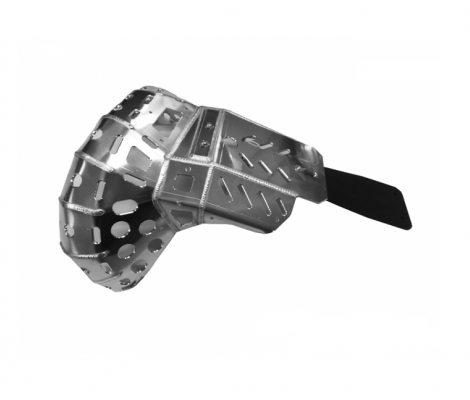 Защита двигателя/прогрес и резонатора P-TECH Sherco SE-R 250-300 2014-2019