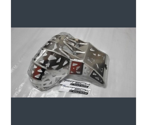 Захист двигуна та резонатора P-TECH Beta RR 250/300 2013-2019 