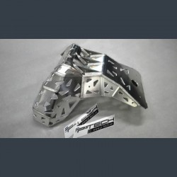 Захист двигуна та резонатора P-TECH Beta Xtrainer 2015-2024