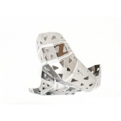 Защита двигателя и резонатора P-TECH Beta RR 200 2019