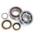 Комплект подшипников коленвала KTM SX / EXC 250/300 04-17