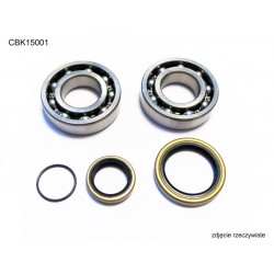 Подшипники и сальники коленвала BEARING WORX BETA 2T 250/270/290/300 ALL, 250/300 RR '13-17