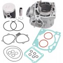 Комплект Циліндр і Поршень HUSQ TE300i 2020-2022 HUSQ KTM OEM
